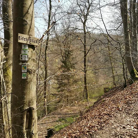 Haus Am Отель Зиммерат