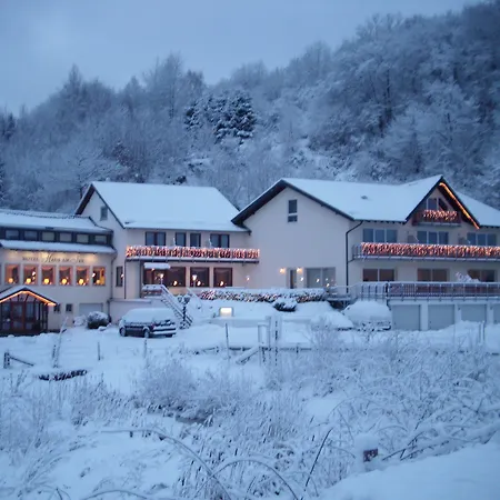 Haus Am Hotel 3*