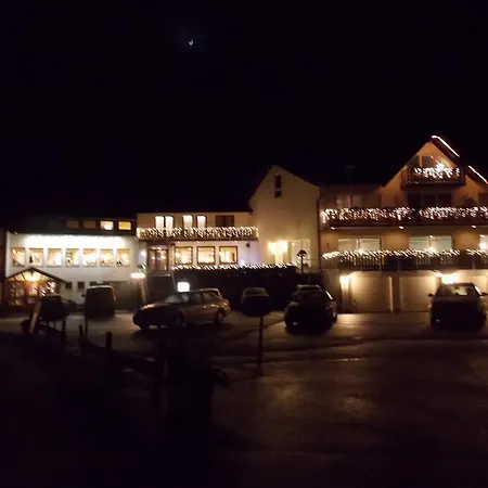 Haus Am Hotel 3*